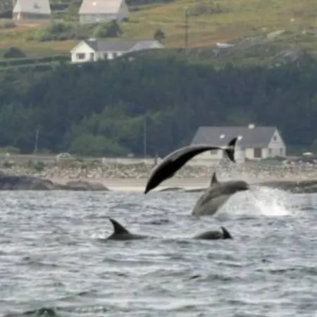 Atlantic View * Dungloe