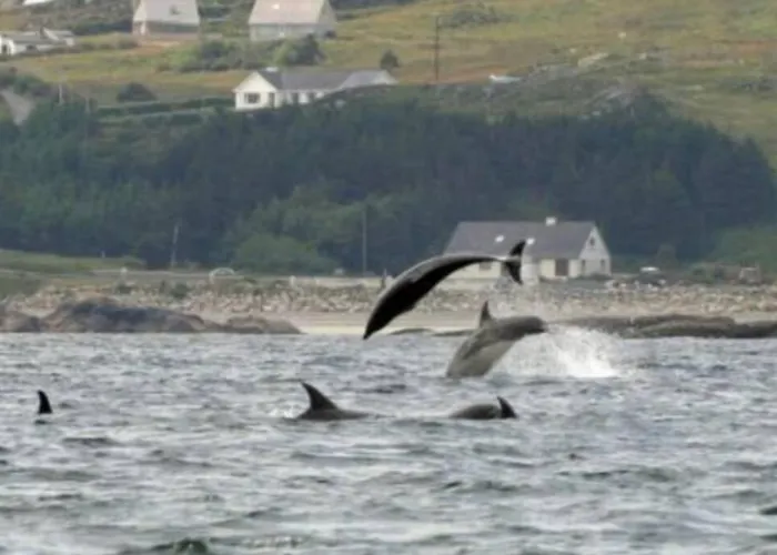 Atlantic View * Dungloe